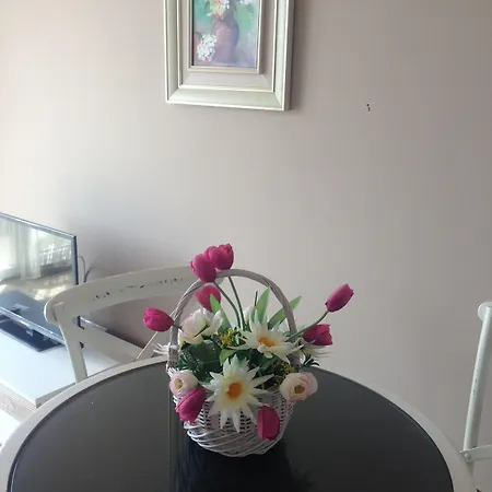 Admiral Plaza サニービーチ