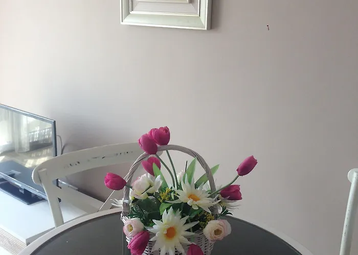 Admiral Plaza Сонячний Берег